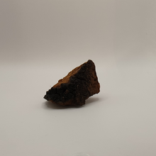 Carregar imagem no visualizador da galeria, Extrato em pó de Chaga