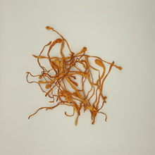Carregar imagem no visualizador da galeria, Extrato em pó de Cordiceps