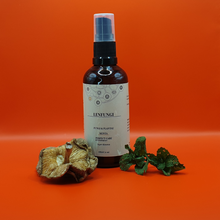 Carregar imagem no visualizador da galeria, Super Alimento Lenfungi