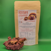 Carregar imagem no visualizador da galeria, Pó de Reishi desidratado