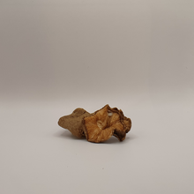 Carregar imagem no visualizador da galeria, Extrato em pó de Shiitake