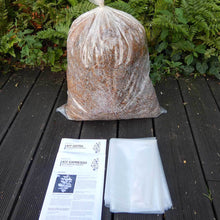 Load image into Gallery viewer,  Pink oyster mushroom (Pleurotus djamor)