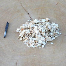 Carregar imagem no visualizador da galeria, Pleurotus djamor