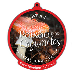 Cabaz Paixão Por Cogumelos