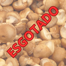 Carregar imagem no visualizador da galeria, Produção Profissional de Cogumelos