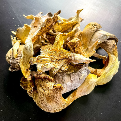 Cogumelo-ostra desidratado