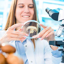 Carregar imagem no visualizador da galeria, Técnicas laboratoriais para a produção de culturas e micélio de cogumelos comestíveis