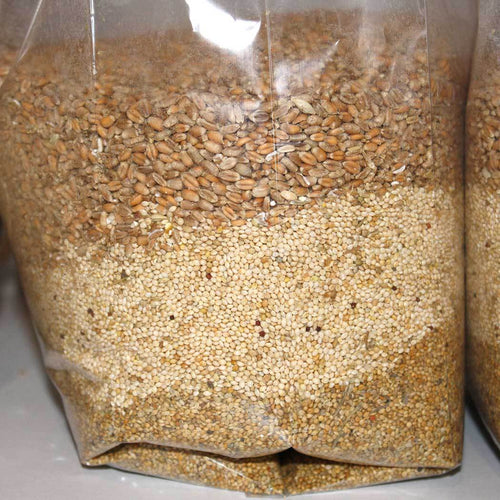 Centeio - grão de cereal (22 kg)